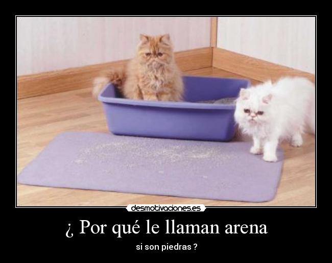 ¿ Por qué le llaman arena -