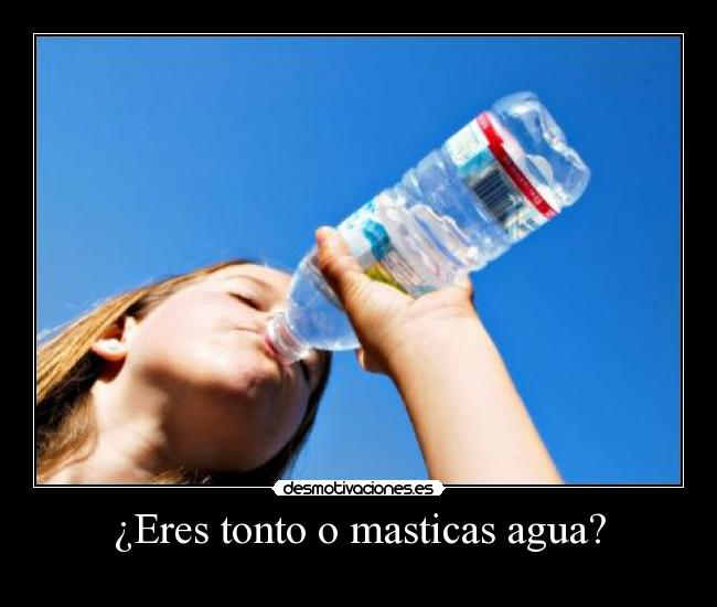 ¿Eres tonto o masticas agua? - 