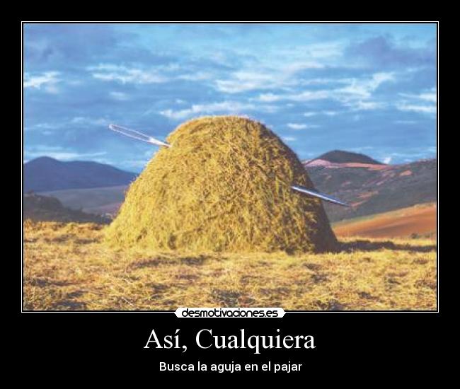 Así, Cualquiera - Busca la aguja en el pajar