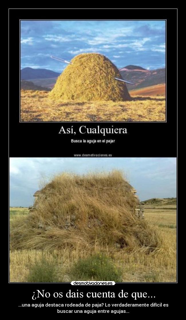 ¿No os dais cuenta de que... - ...una aguja destaca rodeada de paja? Lo verdaderamente difícil es
buscar una aguja entre agujas...