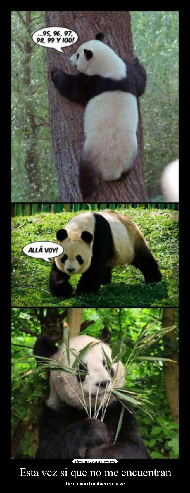 Esta vez si que no me encuentran -