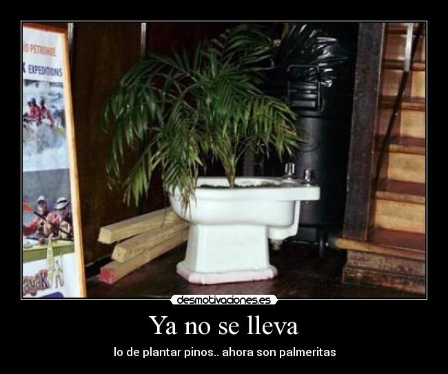 carteles lleva desmotivaciones