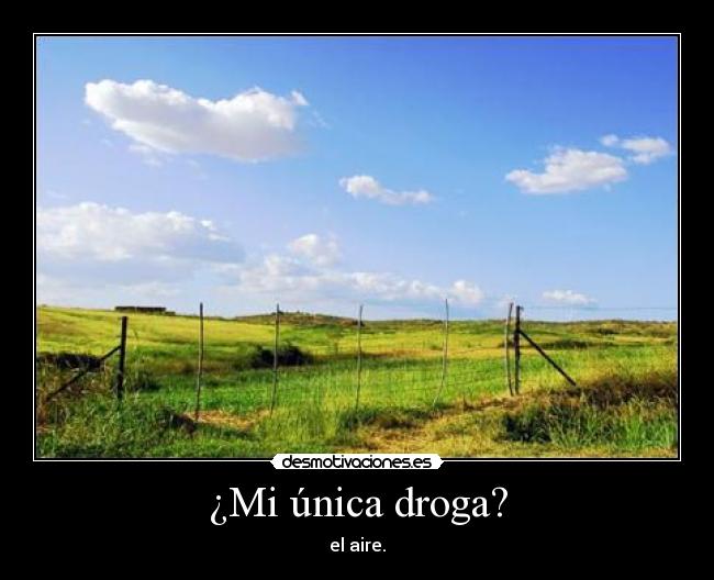 ¿Mi única droga? -