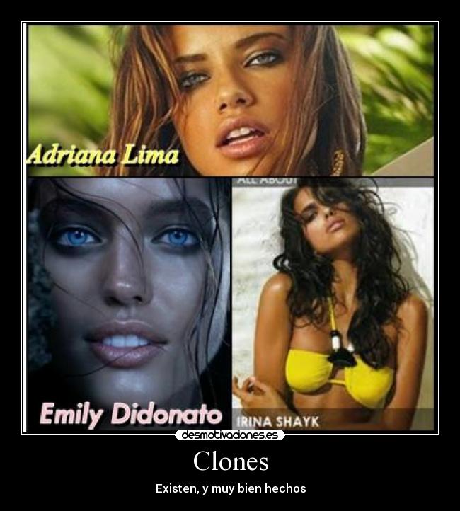 Clones - Existen, y muy bien hechos