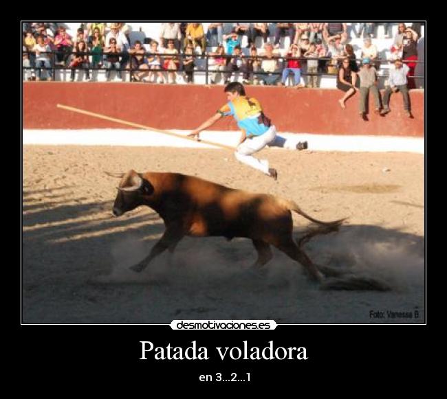 carteles toro desmotivaciones