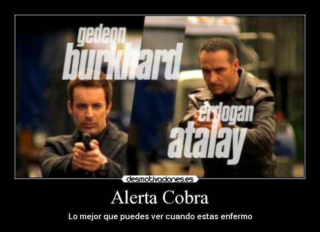Alerta Cobra - Lo mejor que puedes ver cuando estas enfermo