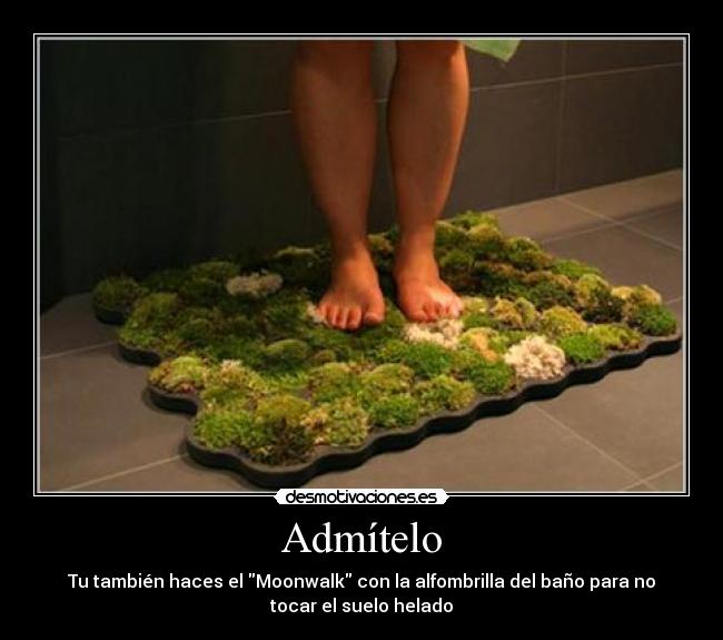 carteles tibarrez desmotivaciones