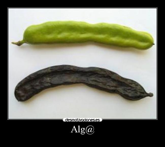 Alg@ -