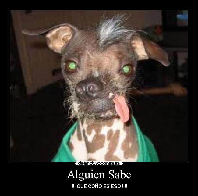 Alguien Sabe - 