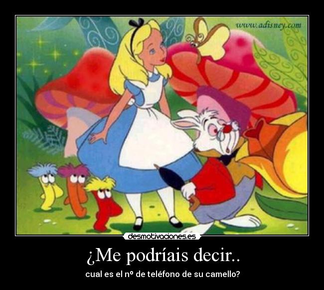 ¿Me podríais decir.. - cual es el nº de teléfono de su camello?