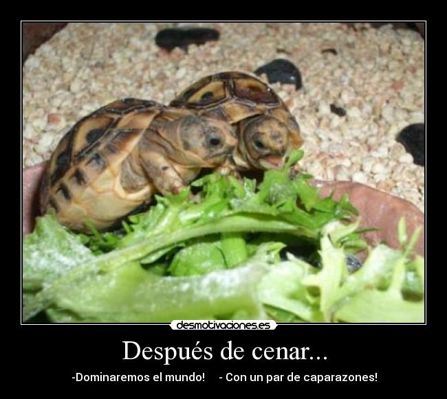 Después de cenar... - 