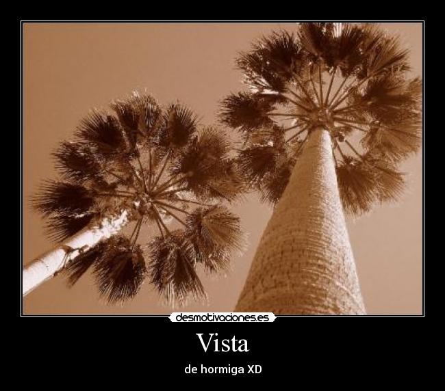 Vista -