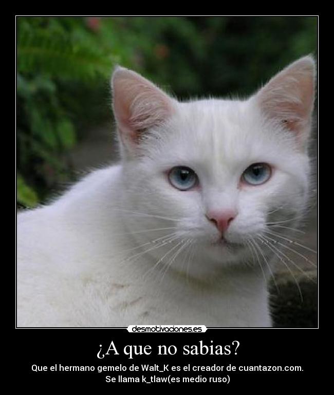 ¿A que no sabias? - Que el hermano gemelo de Walt_K es el creador de cuantazon.com.
Se llama k_tlaw(es medio ruso)
