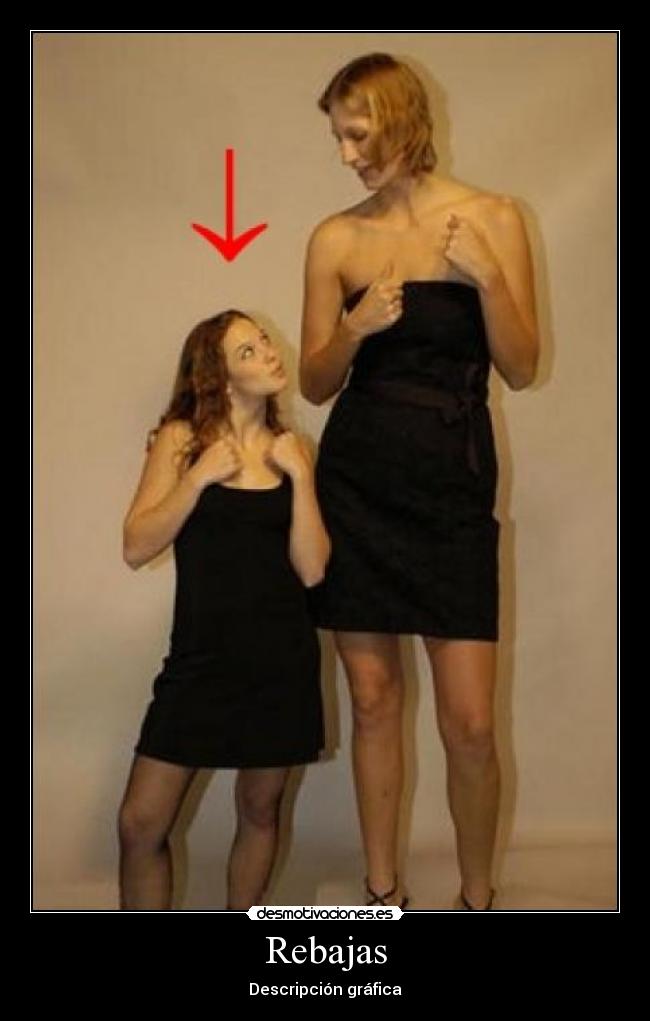 Rebajas - Descripción gráfica