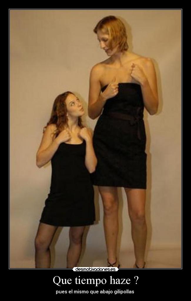 Que tiempo haze ? - pues el mismo que abajo gilipollas