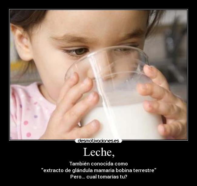 Leche, - También conocida como
extracto de glándula mamaria bobina terrestre
Pero... cual tomarías tu?