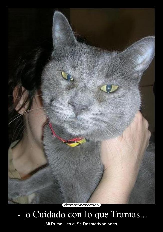 -_o Cuidado con lo que Tramas... - Mi Primo... es el Sr. Desmotivaciones.
