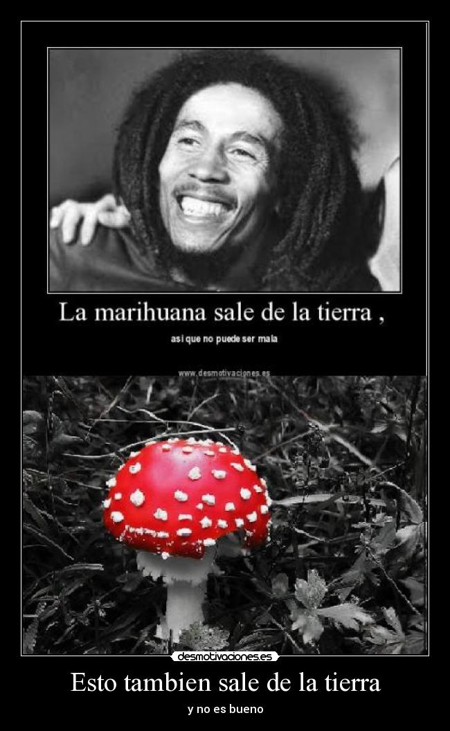 Esto tambien sale de la tierra - y no es bueno