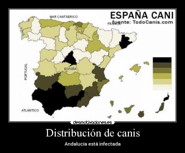 carteles distribucion canis por espana andalucia esta infectada garagones desmotivaciones