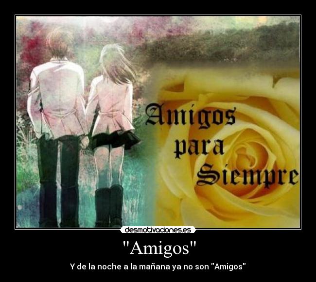 Amigos - 