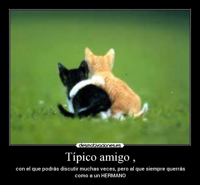 Típico amigo , - con el que podrás discutir muchas veces, pero al que siempre querrás
como a un HERMANO