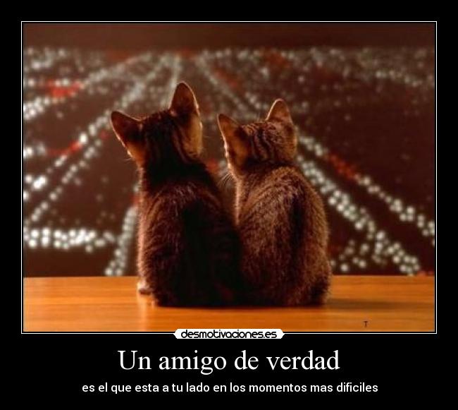 Un amigo de verdad - 