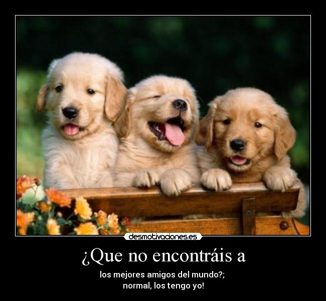 ¿Que no encontráis a -