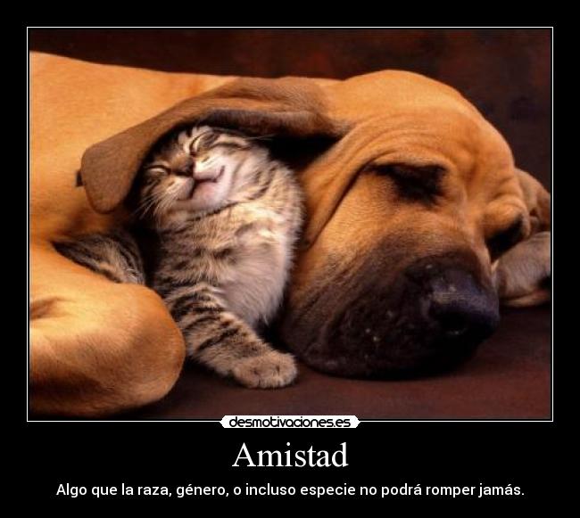Amistad - Algo que la raza, género, o incluso especie no podrá romper jamás.