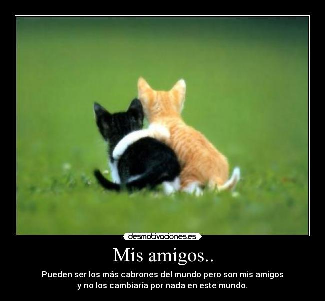 Mis amigos.. - Pueden ser los más cabrones del mundo pero son mis amigos
y no los cambiaría por nada en este mundo.