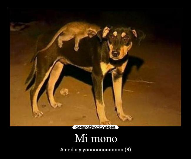 Mi mono - 