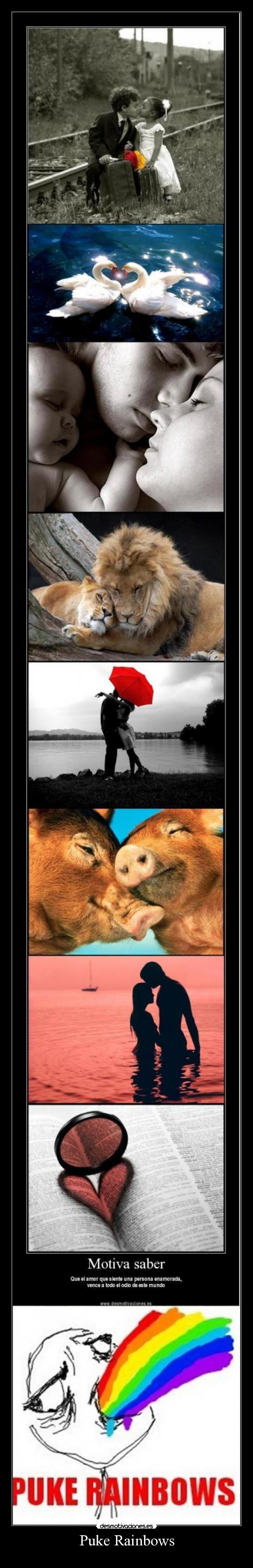 Puke Rainbows - 