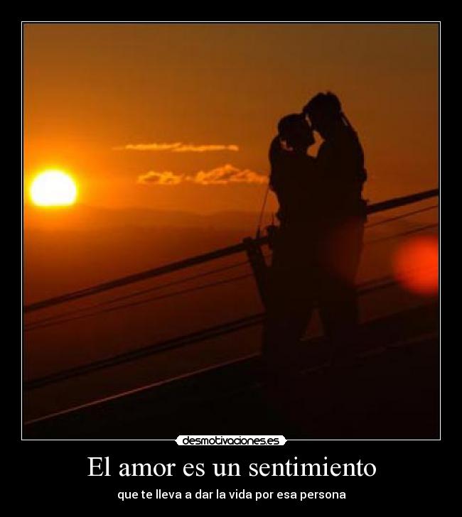 carteles amor amor desmotivaciones