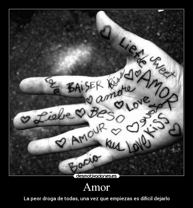 Amor - 