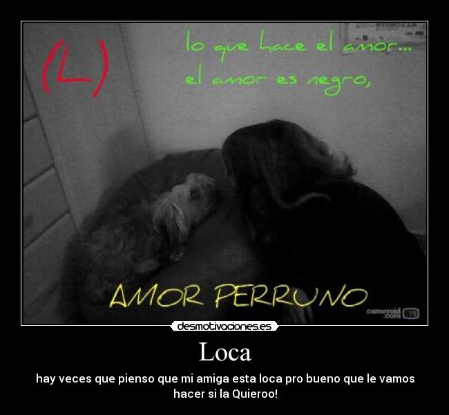Loca - 