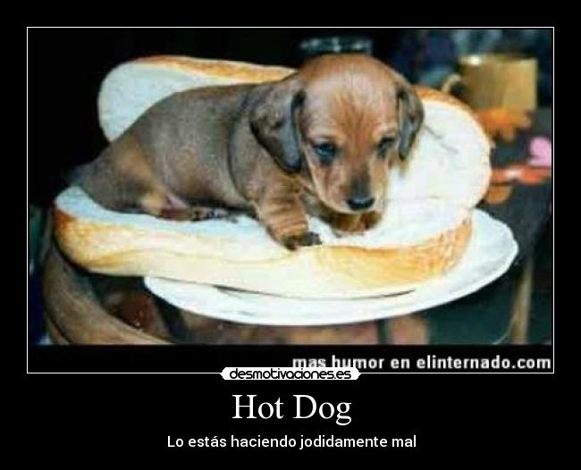Hot Dog -