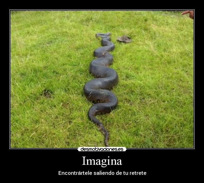 Imagina -