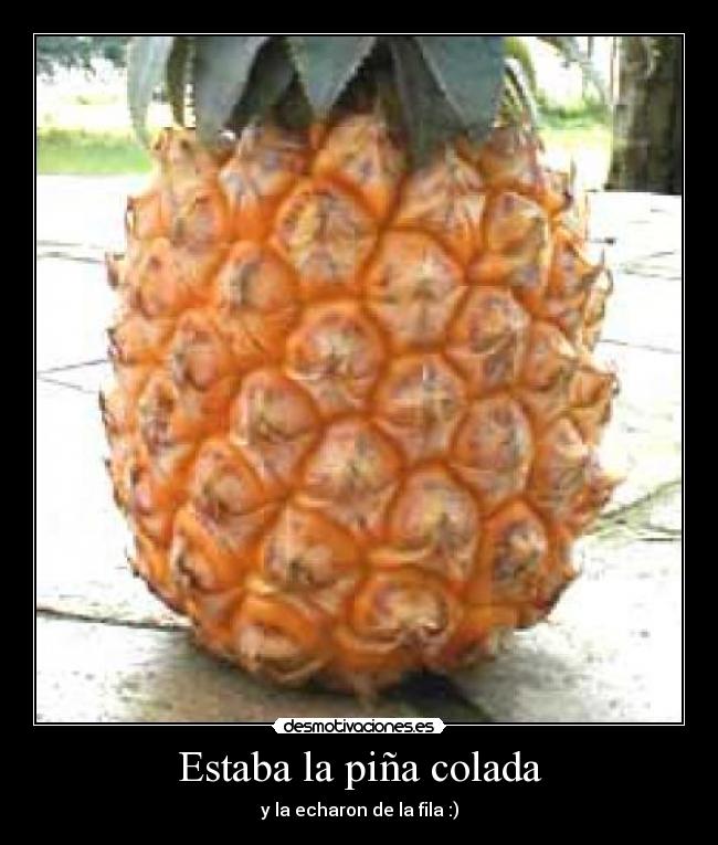 Estaba la piña colada - 