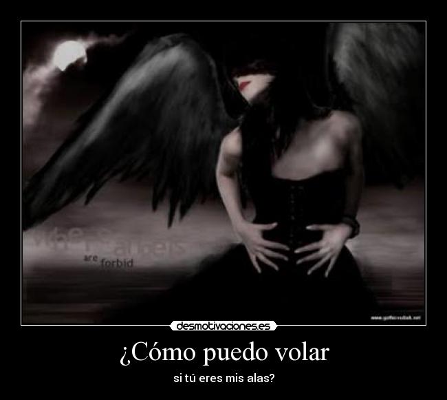 ¿Cómo puedo volar - si tú eres mis alas?