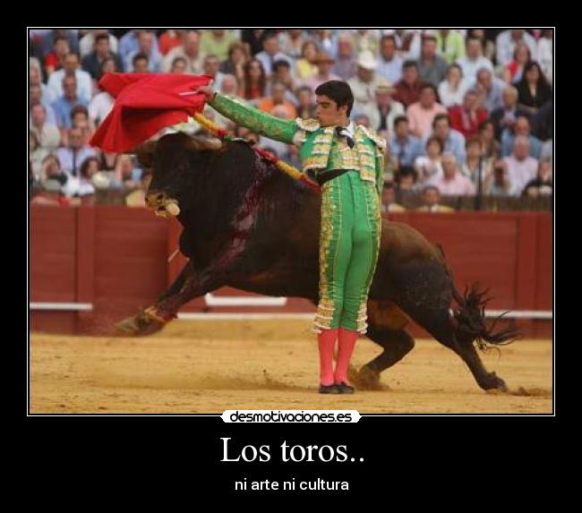Los toros.. -