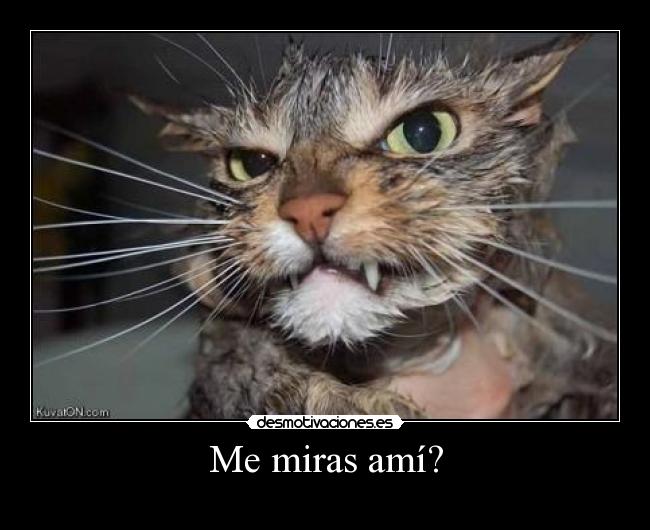 Me miras amí? -