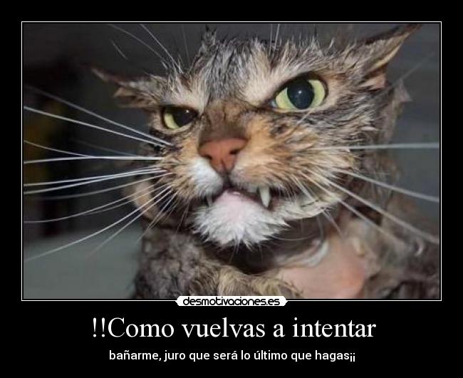 !!Como vuelvas a intentar - bañarme, juro que será lo último que hagas¡¡