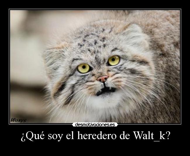 ¿Qué soy el heredero de Walt_k? -