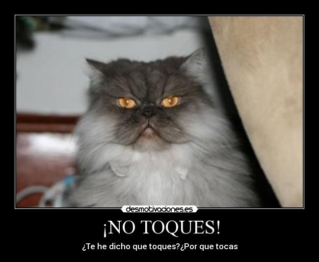 ¡NO TOQUES! - ¿Te he dicho que toques?¿Por que tocas