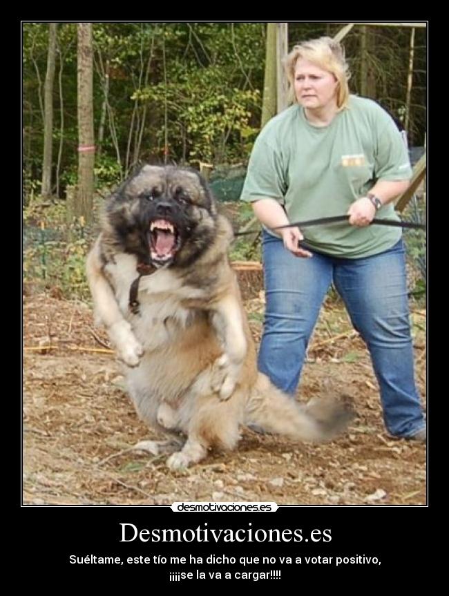 Desmotivaciones.es -