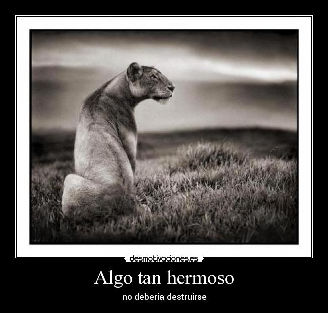 carteles algo tan hermoso desmotivaciones