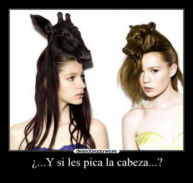 ¿...Y si les pica la cabeza...? -