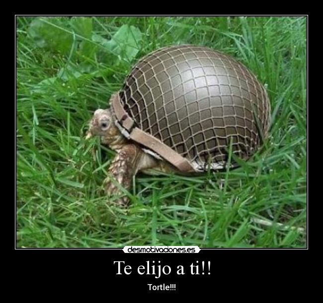 Te elijo a ti!! -