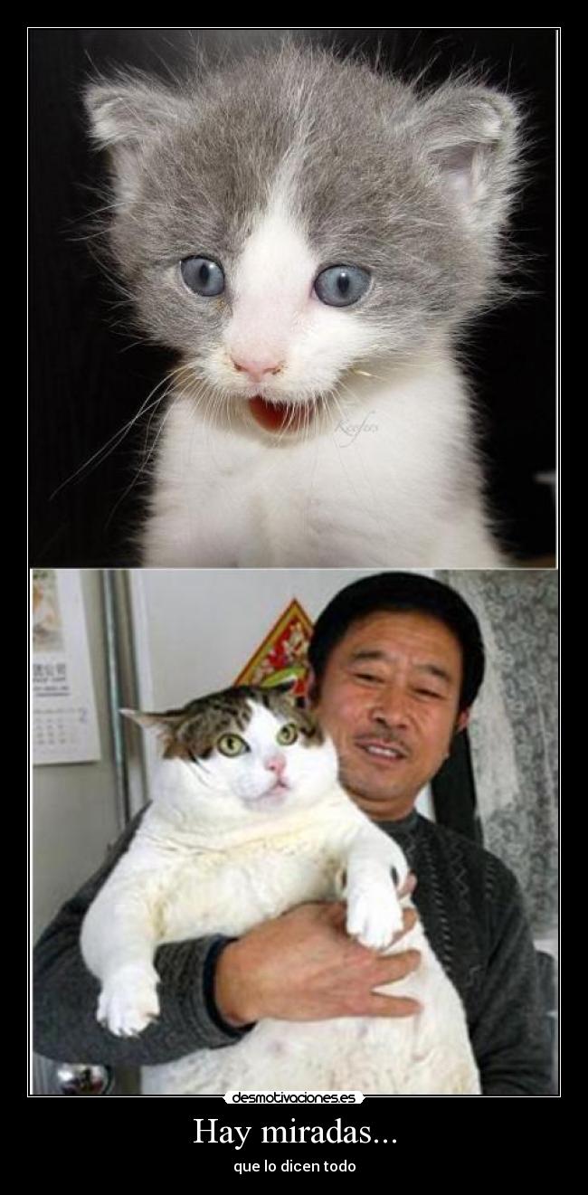 Hay miradas... - que lo dicen todo