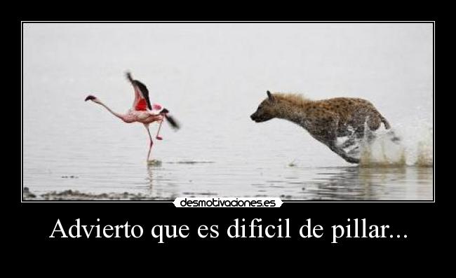 Advierto que es dificil de pillar... -