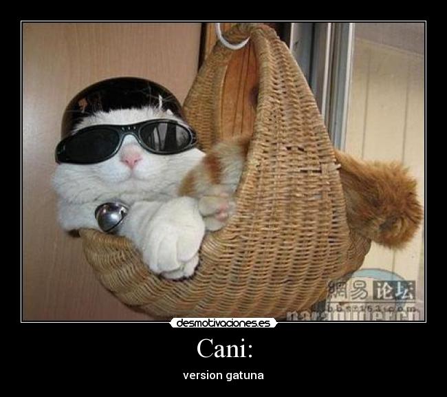 Cani: - 